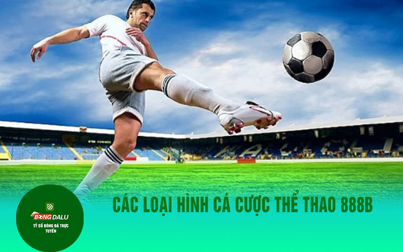 the thao 888b 1 Các loại hình cá cược thể thao 888B