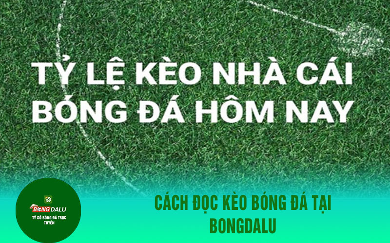 ty le keo bong 1 Cách đọc kèo bóng đá tại Bongdalu