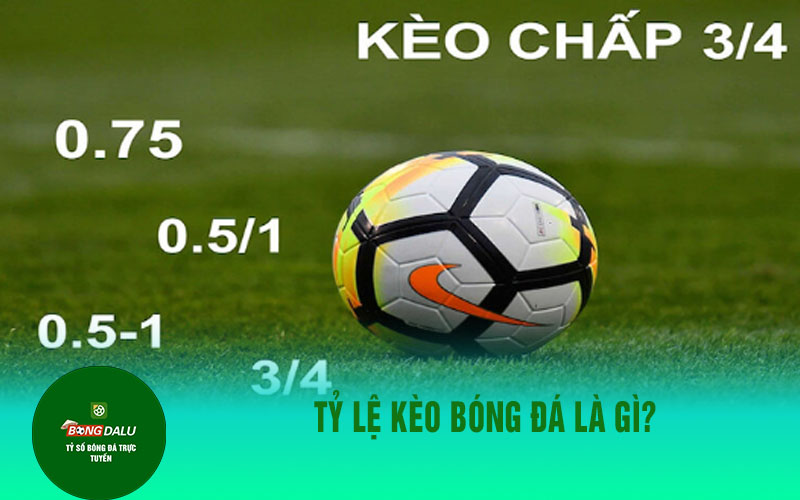 ty le keo bong Tỷ lệ kèo bóng đá là gì?