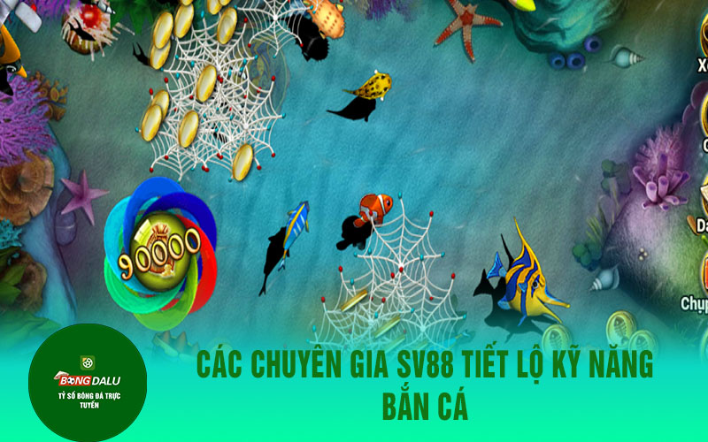 vua hai tac 1 Các chuyên gia SV88 tiết lộ kỹ năng bắn cá