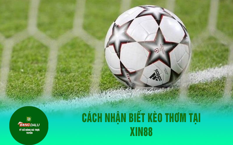 xin88 1 1 Cách Nhận Biết Kèo Thơm Tại Xin88