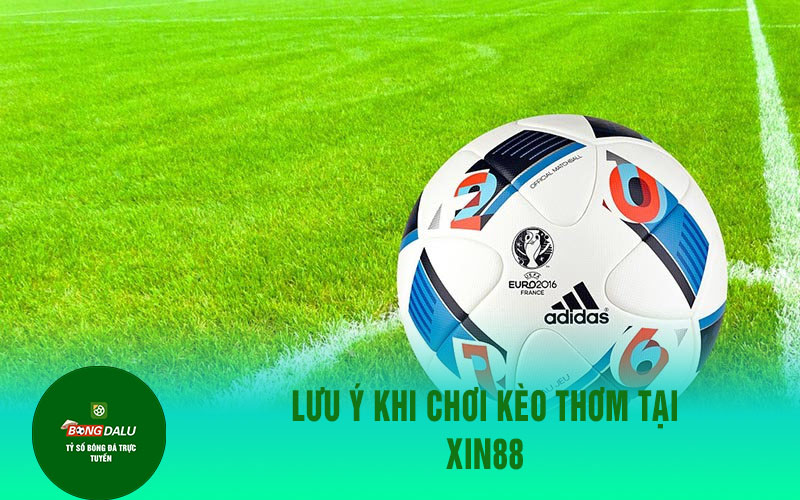 xin88 2 1 Lưu Ý Khi Chơi Kèo Thơm Tại Xin88