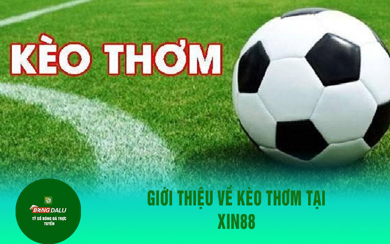 xin88 3 Giới Thiệu Về Kèo Thơm Tại Xin88