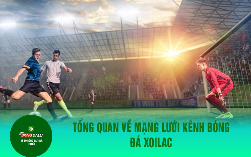 xoilac 3 Tổng quan về mạng lưới kênh bóng đá Xoilac