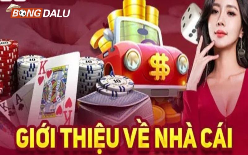 33win Thông tin về nền tảng cá cược đẳng cấp 333win