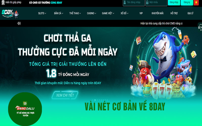 8dayy Vài nét cơ bản về 8day
