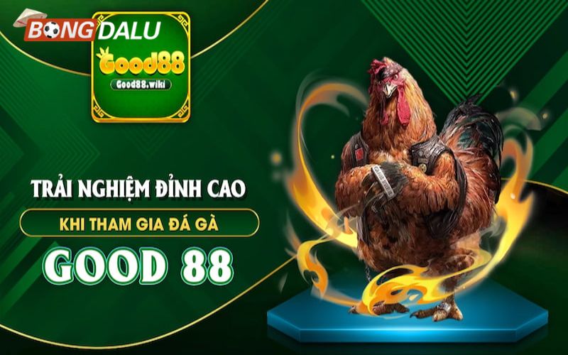 Good88 3 Xem những trận đấu đỉnh cao