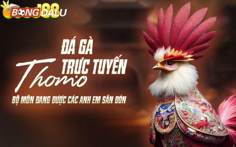Good88 Luôn có nhiều người tham gia
