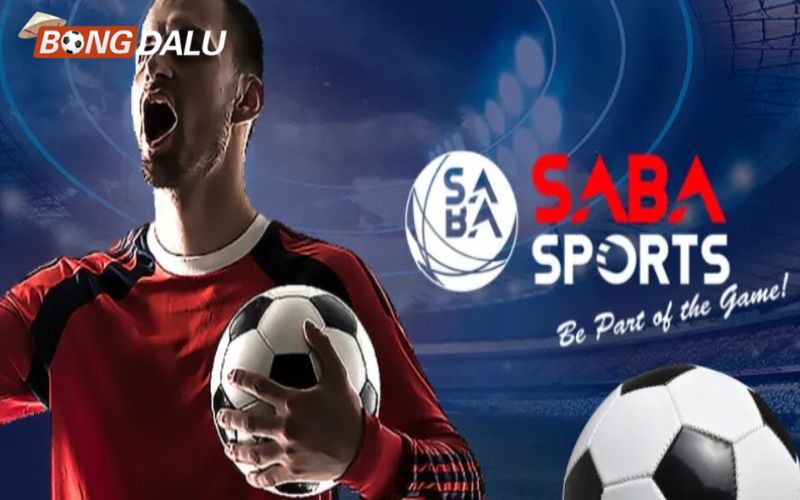 Saba Sports 2 Giao diện tùy chọn cho người dùng
