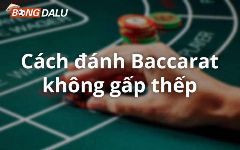 baccarat 3 Rút lui đúng lúc