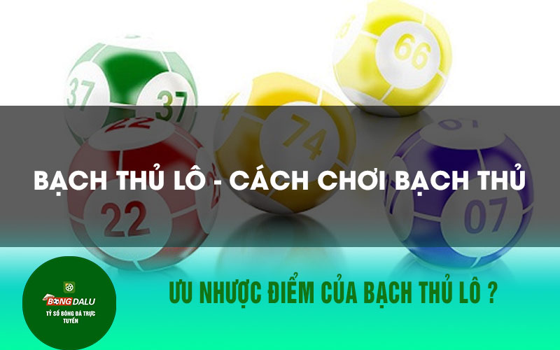bach thu lo 2 Ưu nhược điểm của bạch thủ lô ?