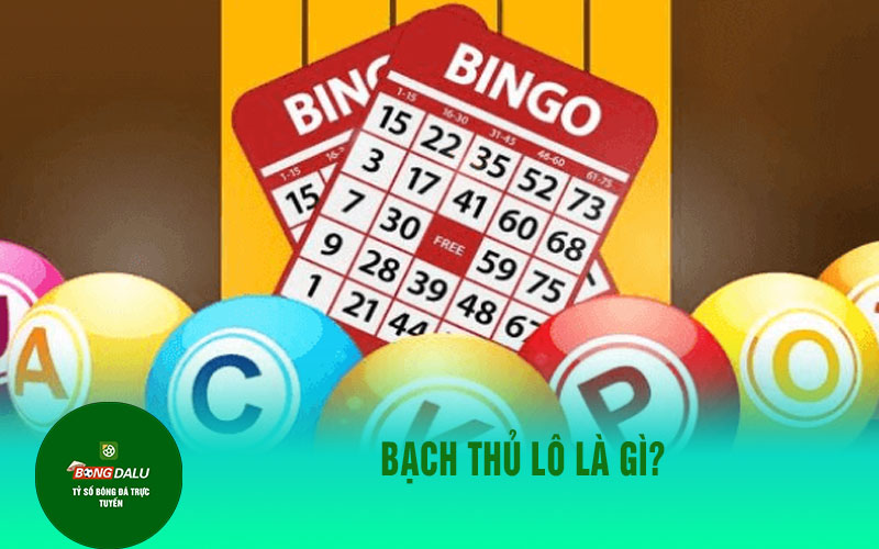 bach thu lo Bạch thủ lô là gì?