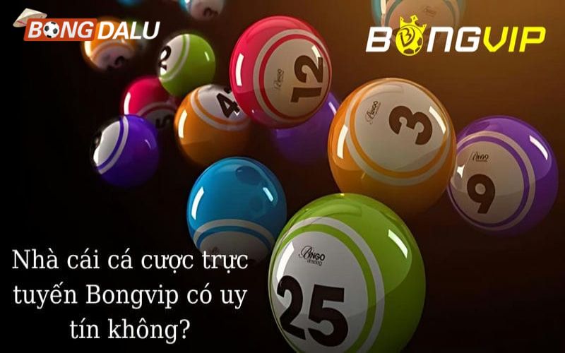 bongvip 3 Trang web Bongvip đảm bảo an toàn và uy tín khi cá cược