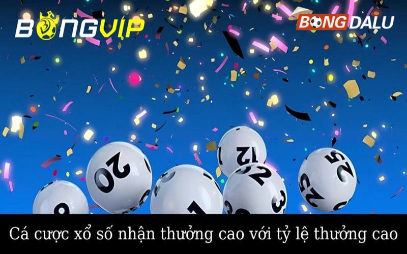 bongvip Cá cược xổ số nhận thưởng cao với tỷ lệ thưởng cao