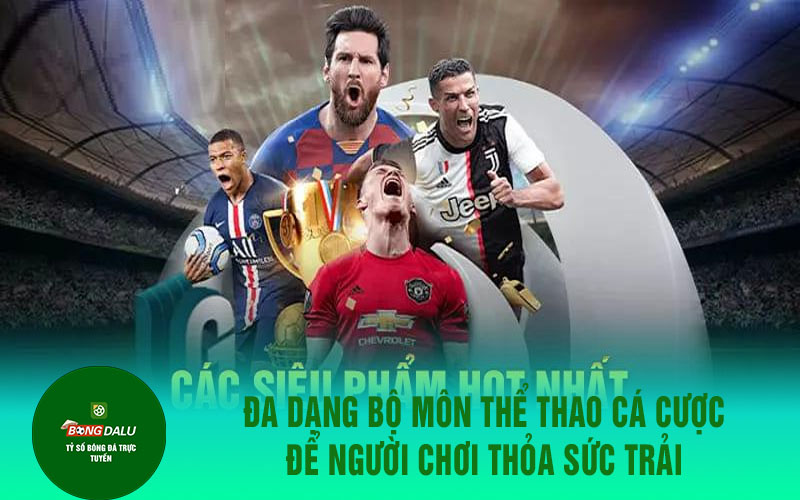 casinoo 2 Đa dạng bộ môn thể thao cá cược để người chơi thỏa sức trải nghiệm