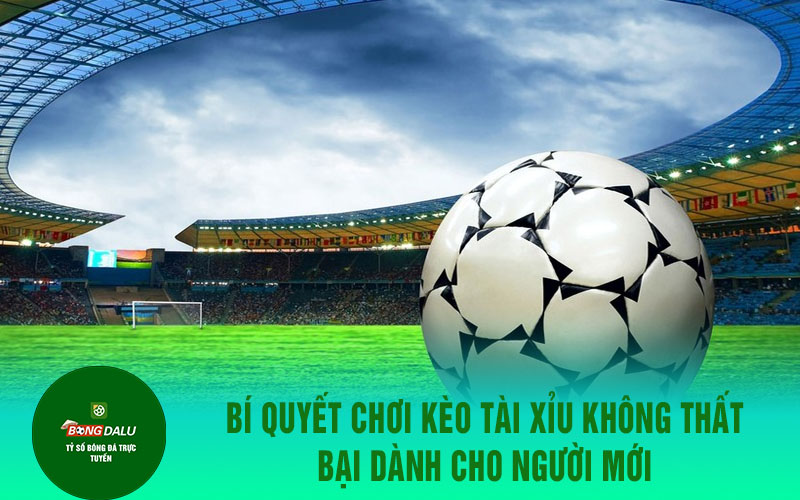 keo tai xiu 2 Bí quyết chơi kèo tài xỉu không thất bại dành cho người mới