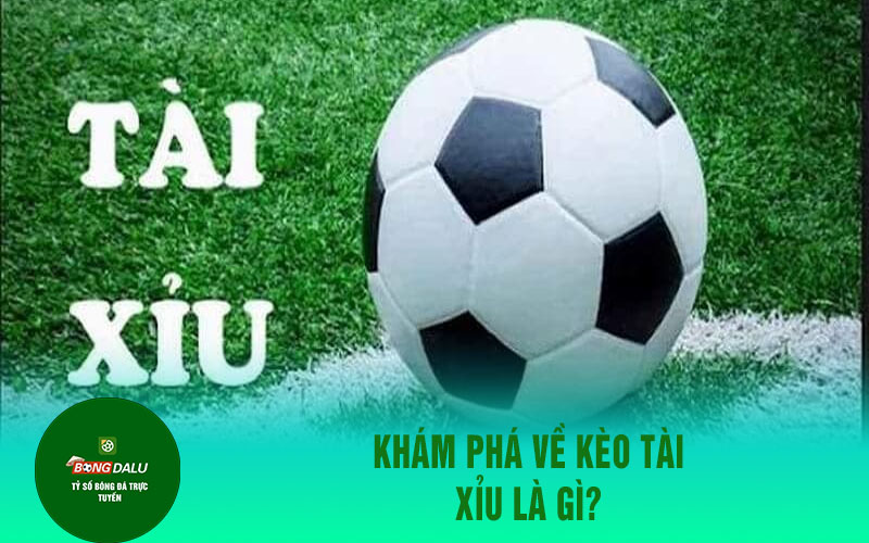 keo tai Khám phá về kèo Tài Xỉu là gì?