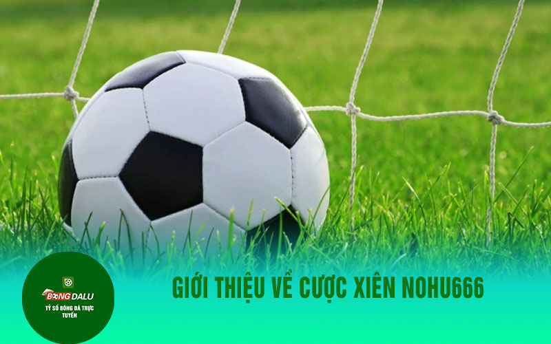 n Giới Thiệu Về Cược Xiên Nohu666