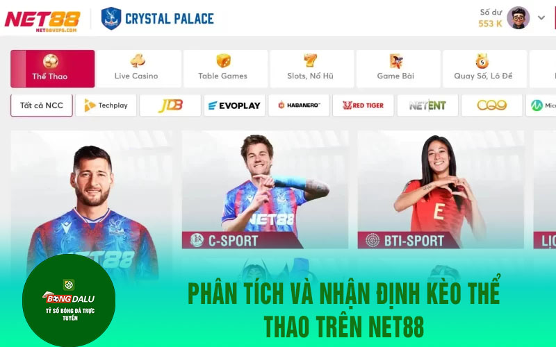 net88 2 Phân tích và nhận định kèo thể thao trên Net88