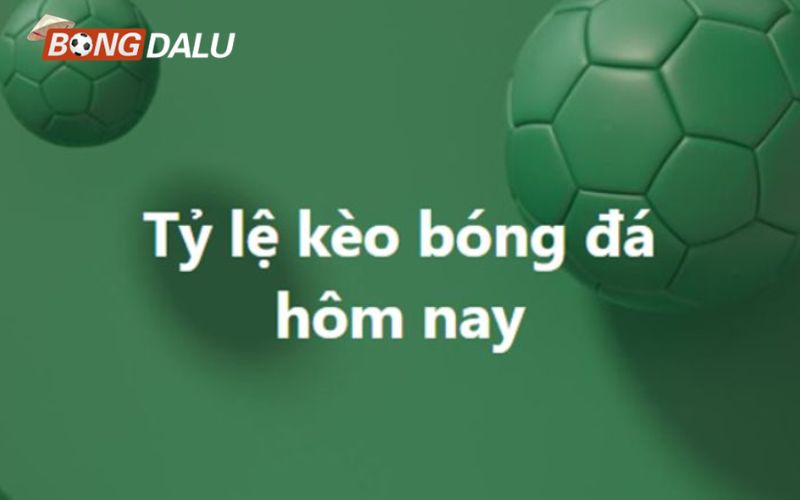 ty le keo Tỷ lệ kèo nhà cái là thông tin để đặt cược bóng đá
