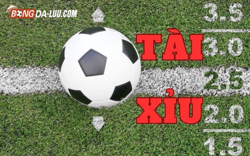 keo tai xiu 2 Cách tham gia bắt kèo tài xỉu