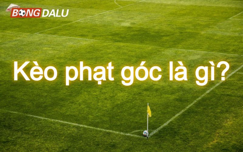 Keo nha cai 2 Cần áp dụng mẹo cược tỷ lệ kèo nhà cái nào để thắng?