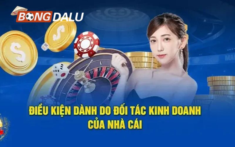 bongdalu 13 Điều kiện để làm đại lý Sunwin