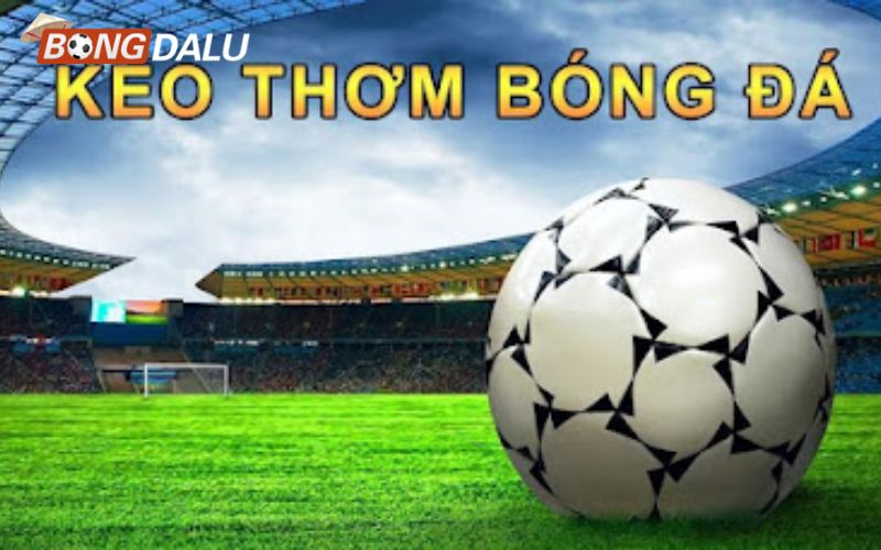 bongdalu 9 Hướng dẫn sử dụng nhận định kèo nhà cái để tăng cơ hội chiến thắng